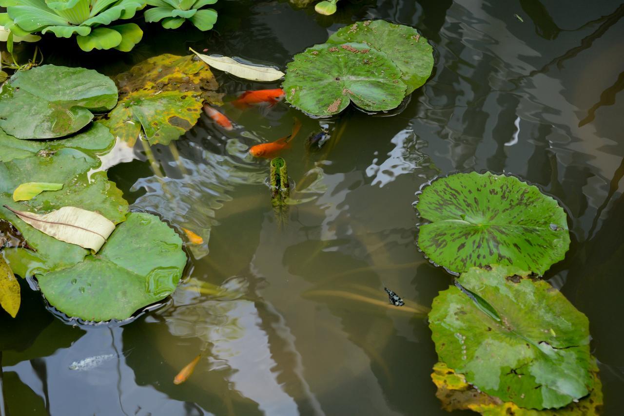 The Villa Secret Garden Siem Reap Exterior photo